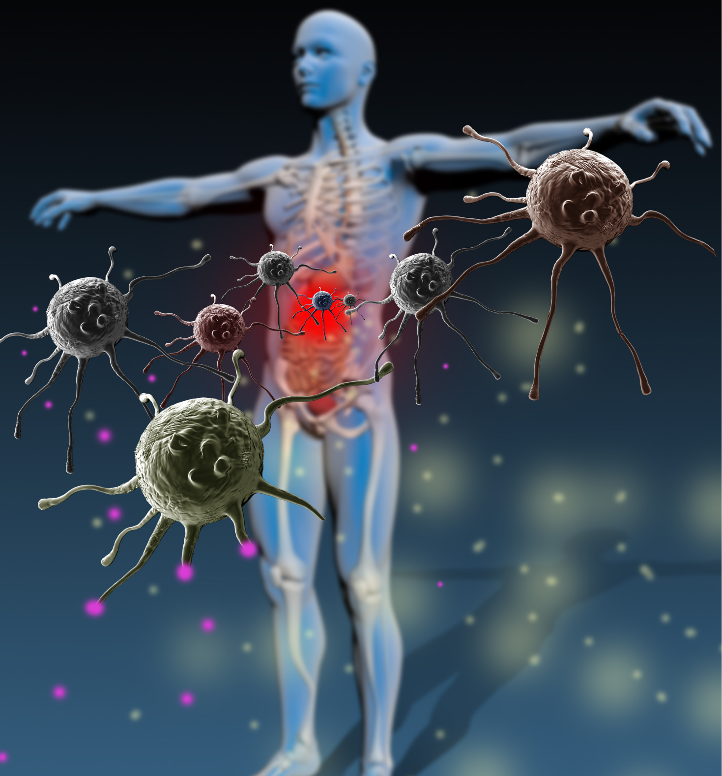 BlueSZones Immunsystem